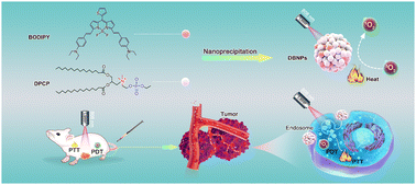 Graphical abstract: Choline phosphate lipid-hitchhiked near-infrared BODIPY nanoparticles for enhanced phototheranostics