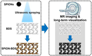 Graphical abstract: Magnetic nanoparticle loaded biodegradable vascular stents for magnetic resonance imaging and long-term visualization