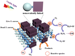 Graphical abstract: Self-assembled A–D–A type indacenodithiophene-based small conjugated molecule/TiO2 for enhancing the photocatalytic activity