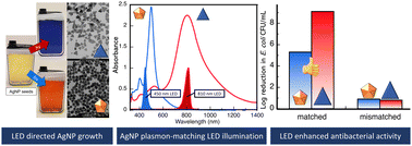 Graphical abstract: Silver nanoparticles with exceptional near-infrared absorbance for photoenhanced antimicrobial applications