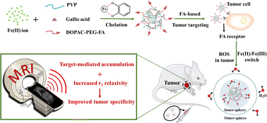 Graphical abstract: A tumor-targeting and ROS-responsive iron-based T1 magnetic resonance imaging contrast agent for highly specific tumor imaging