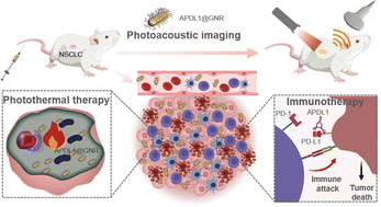 Graphical abstract: A PD-L1 targeting nanotheranostic for effective photoacoustic imaging guided photothermal-immunotherapy of tumor