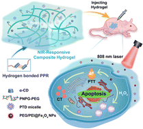 Graphical abstract: In situ injectable NIR-responsive supramolecular hydrogels encapsulating ROS-triggered chain-breakage prodrug micelles and hydrophilic Fe3O4 nanoparticles for enhanced synergistic chemo-photothermal therapy