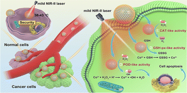 Graphical abstract: Carbon dot decorated Co3O4 nanozymes responsive to the NIR-II window for mild photothermal-enhanced nanocatalytic therapy