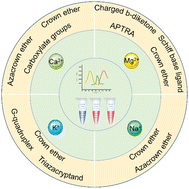 Graphical abstract: Organic small-molecule fluorescent probe-based detection for alkali and alkaline earth metal ions in biological systems