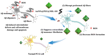 Graphical abstract: Electrostatic assembly of gold nanoparticle and metal–organic framework nanoparticles attenuates amyloid β aggregate-mediated neurotoxicity