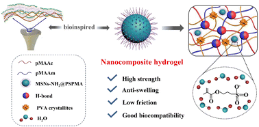 Graphical abstract: Cartilage-bioinspired, tough and lubricated hydrogel based on nanocomposite enhancement effect