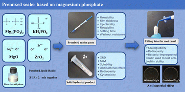 Graphical abstract: A premixed magnesium phosphate-based sealer with anti-biofilm ability for root canal filling