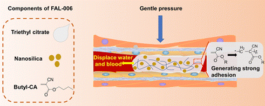 Graphical abstract: A cyanoacrylate/triethyl citrate/nanosilica-based closure glue with wet-adhesion capability for treatment of superficial varicose veins