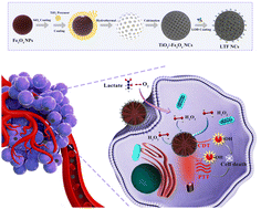 Graphical abstract: A small pore black TiO2/-large pore Fe3O4 cascade nanoreactor for chemodynamic/photothermal synergetic tumour therapy