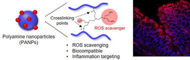 Graphical abstract: Inflammation-targeting polyamine nanomedicines for the treatment of ulcerative colitis