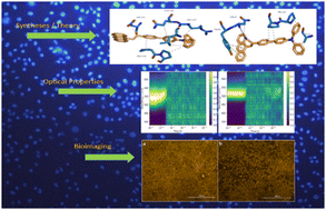 Graphical abstract: Exploring the potential of anthracene derivatives as fluorescence emitters for biomedical applications