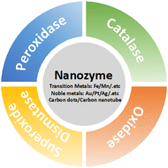 Graphical abstract: The rational design of nanozymes for imaging-monitored cancer therapy