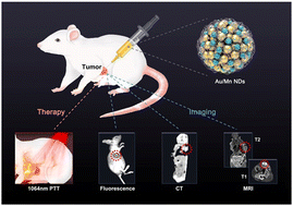 Graphical abstract: Au/Mn nanodot platform for in vivo CT/MRI/FI multimodal bioimaging and photothermal therapy against tongue cancer