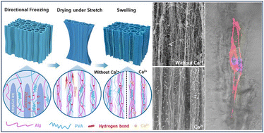 Graphical abstract: Hierarchical hydrogel scaffolds with a clustered and oriented structure