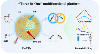Graphical abstract: “Three-in-one” platform based on Fe-CDs nanozyme for dual-mode/dual-target detection and NIR-assisted bacterial killing