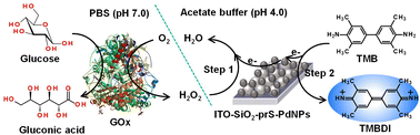 Graphical abstract: Pd nanocatalysts adsorbed onto silica nanoparticle coated indium tin oxide: a reusable nanozyme for glucose detection