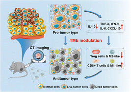 Graphical abstract: Diselenide-crosslinked nanogels laden with gold nanoparticles and methotrexate for immunomodulation-enhanced chemotherapy and computed tomography imaging of tumors