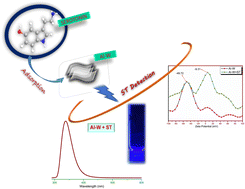 Graphical abstract: “Synergistic effect” based novel and ultrasensitive approach for the detection of serotonin using DEM-modulated bimetallic nanosheets