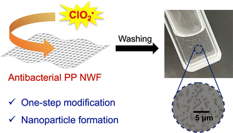 Graphical abstract: One-step antibacterial modification of polypropylene non-woven fabrics via oxidation using photo-activated chlorine dioxide radicals