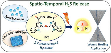 Graphical abstract: Spatiotemporal photo-release of hydrogen sulphide from β-carboline-derived nanoparticles for therapeutic applications