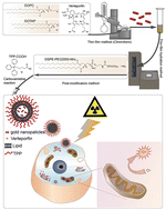 Graphical abstract: An X-ray activatable gold nanorod encapsulated liposome delivery system for mitochondria-targeted photodynamic therapy (PDT)