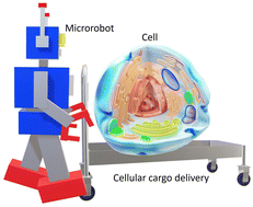 Graphical abstract: Fabrication of three-lobed magnetic microrobots for cell transportation
