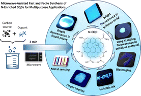 Graphical abstract: Microwave-assisted rapid synthesis of nitrogen-enriched amphibious carbon quantum dots for sensitive detection of ROS and multiple other applications
