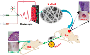 Graphical abstract: Asymmetric fabrication and in vivo evaluation of the wound healing potency of electrospun biomimetic nanofibrous scaffolds based on collagen crosslinked modified-chitosan and graphene oxide quantum dot nanocomposites