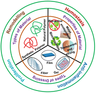 Graphical abstract: Recent advances in novel materials and techniques for developing transparent wound dressings