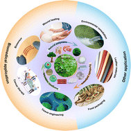 Graphical abstract: Natural polyphenol tannin-immobilized composites: rational design and versatile applications