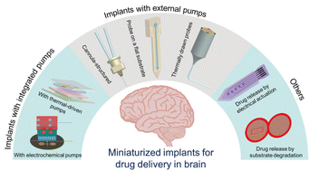 Graphical abstract: Miniaturized neural implants for localized and controllable drug delivery in the brain