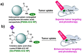 Graphical abstract: Development of superior nanotheranostic agents with indocyanine green-conjugated poly(styrene-alt-maleic acid) nanoparticles for tumor imaging and phototherapy