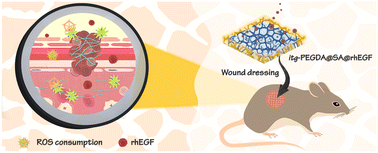 Graphical abstract: A biocompatible polyethylene glycol/alginate composite hydrogel with significant reactive oxygen species consumption for promoting wound healing