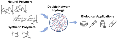 Graphical abstract: Recent advances in double network hydrogels based on naturally-derived polymers: synthesis, properties, and biological applications