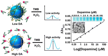 Graphical abstract: Apta-sensor for selective determination of dopamine using chitosan-stabilized Prussian blue nanoparticles