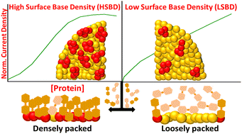 Graphical abstract: Single stop analysis of a protein surface using molecular probe electrochemistry