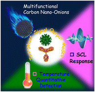 Graphical abstract: Two-phase dual-signal-readout immunosensing platform based on multifunctional carbon nano-onions for ovarian cancer biomarker detection