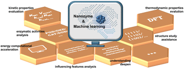 Graphical abstract: Machine learning facilitating the rational design of nanozymes
