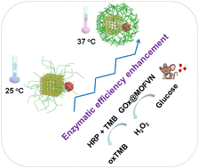 Graphical abstract: Thermo-responsive polymer-modified metal–organic frameworks as soft–rigid enzyme-reactors for enhancement of enzymolysis efficiency using a controllable embedding protocol