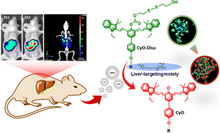 Graphical abstract: Bioimaging of glutathione variation for early diagnosis of hepatocellular carcinoma using a liver-targeting ratiometric near-infrared fluorescent probe