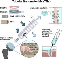 Graphical abstract: Tubular nanomaterials for bone tissue engineering