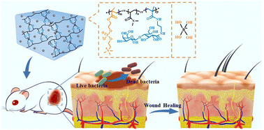 Graphical abstract: Glycopolymer-based multifunctional antibacterial hydrogel dressings for accelerating cutaneous wound healing