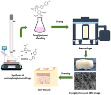 Graphical abstract: Self-crosslinked polyvinyl alcohol/cellulose nanofibril cryogels loaded with synthesized aminophosphonates as antimicrobial wound dressings