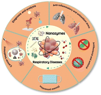 Graphical abstract: Advances and perspectives of nanozymes in respiratory diseases