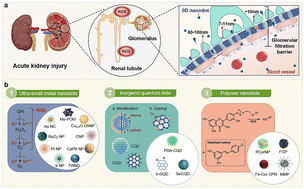 Graphical abstract: Antioxidative 0-dimensional nanodrugs overcome obstacles in AKI antioxidant therapy