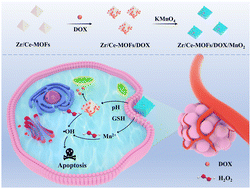 Graphical abstract: Functionalized nanozyme with drug loading for enhanced tumour combination treatment of catalytic therapy and chemotherapy