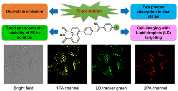 Graphical abstract: Fluorination of naphthalimide–cyanostilbene derivatives to achieve dual-state emission luminogens with strong fluorescence in highly polar environments for bioimaging