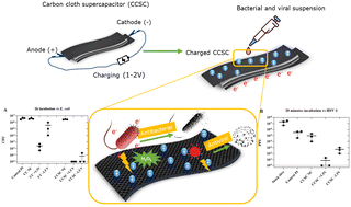 Graphical abstract: From energy storage to pathogen eradication: unveiling the antibacterial and antiviral capacities of flexible solid-state carbon cloth supercapacitors