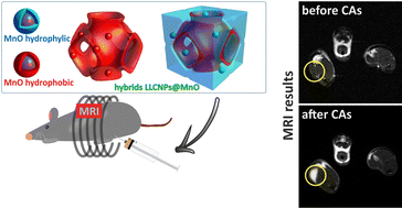 Graphical abstract: Hybrids of manganese oxide and lipid liquid crystalline nanoparticles (LLCNPs@MnO) as potential magnetic resonance imaging (MRI) contrast agents